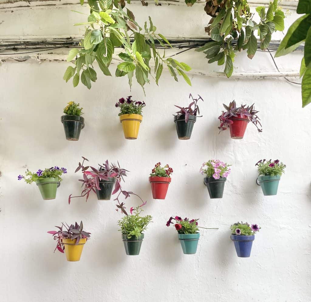 flower-pot-wall-torremolinos-spain